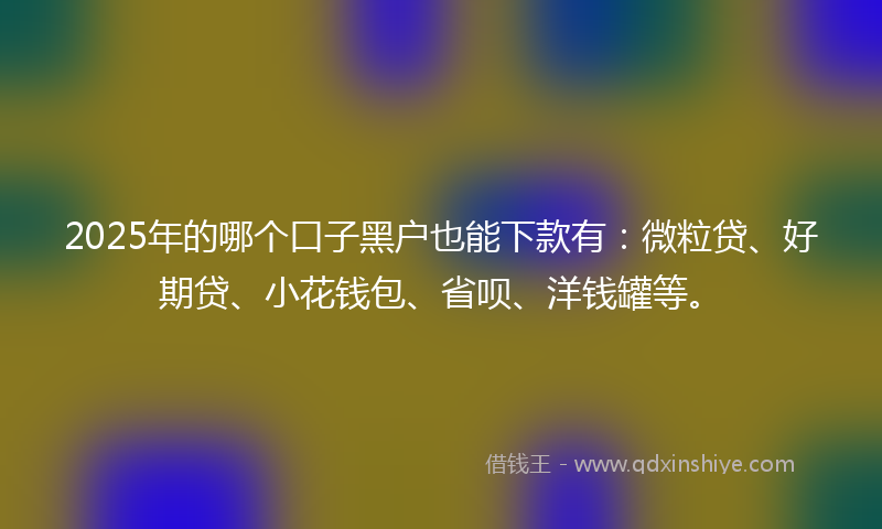 2025年的哪个口子黑户也能下款有：微粒贷、好期贷、小花钱包、省呗、洋钱罐等。