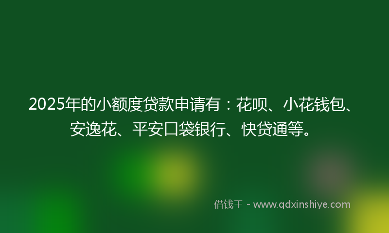 2025年的小额度贷款申请有：花呗、小花钱包、安逸花、平安口袋银行、快贷通等。