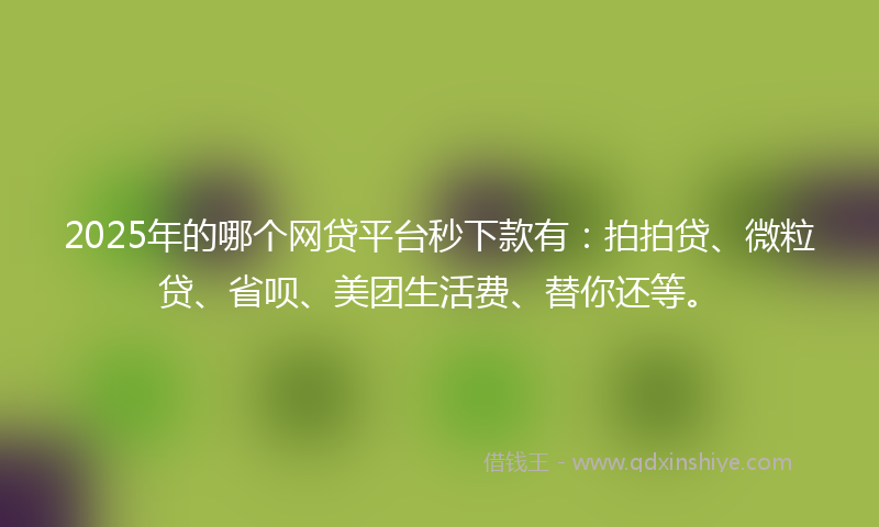 2025年的哪个网贷平台秒下款有：拍拍贷、微粒贷、省呗、美团生活费、替你还等。
