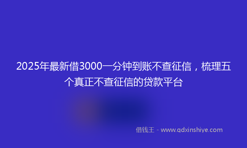 2025年最新借3000一分钟到账不查征信，梳理五个真正不查征信的贷款平台