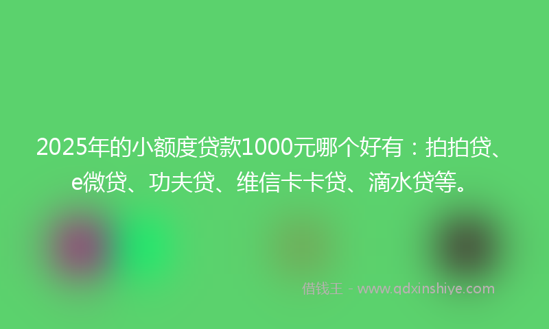 2025年的小额度贷款1000元哪个好有：拍拍贷、e微贷、功夫贷、维信卡卡贷、滴水贷等。
