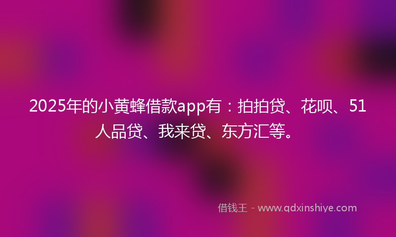2025年的小黄蜂借款app有：拍拍贷、花呗、51人品贷、我来贷、东方汇等。