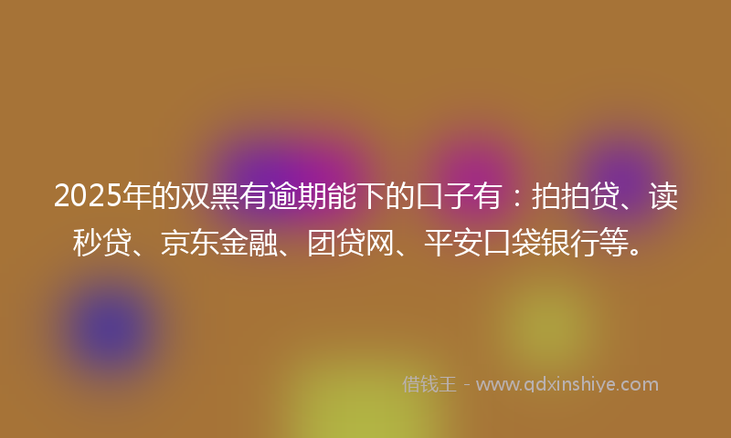 2025年的双黑有逾期能下的口子有：拍拍贷、读秒贷、京东金融、团贷网、平安口袋银行等。