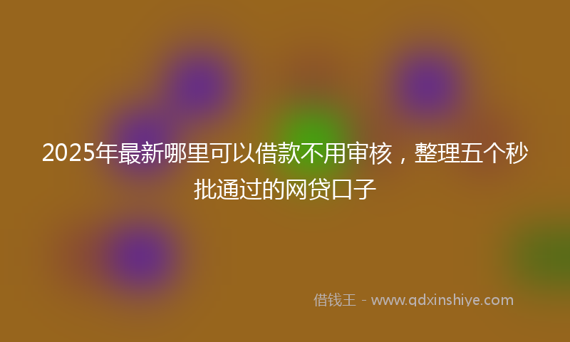 2025年最新哪里可以借款不用审核，整理五个秒批通过的网贷口子