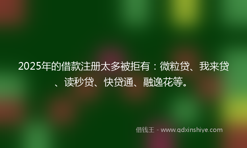2025年的借款注册太多被拒有：微粒贷、我来贷、读秒贷、快贷通、融逸花等。
