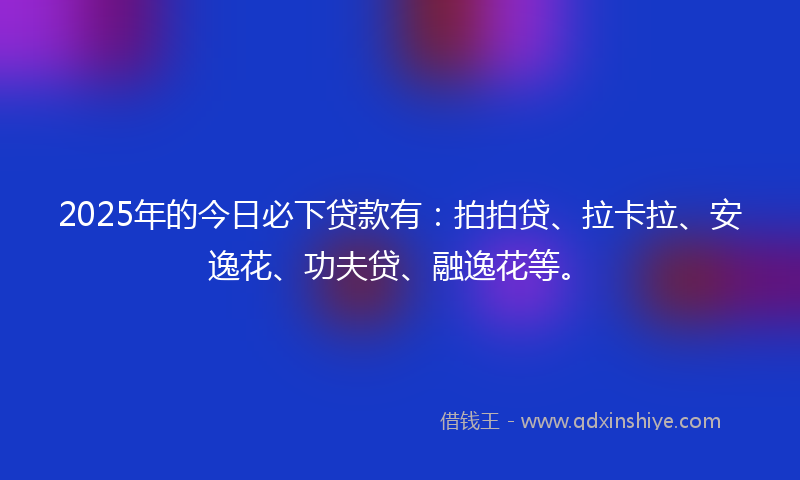 2025年的今日必下贷款有：拍拍贷、拉卡拉、安逸花、功夫贷、融逸花等。
