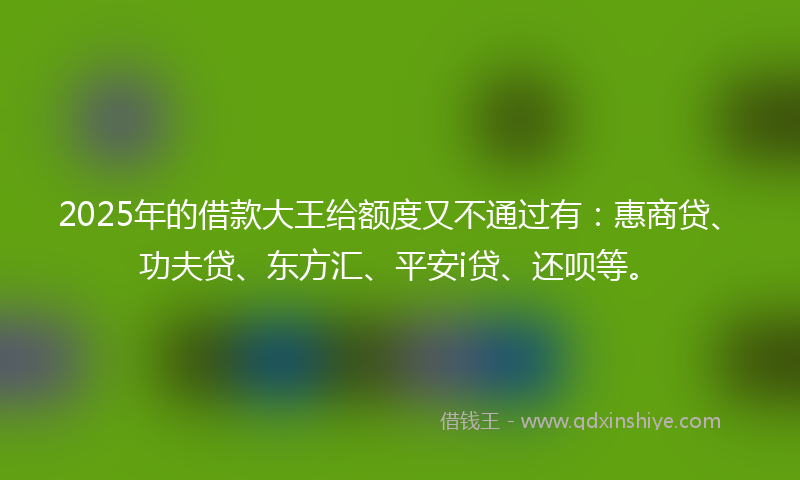 2025年的借款大王给额度又不通过有：惠商贷、功夫贷、东方汇、平安i贷、还呗等。