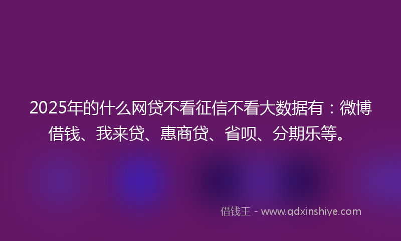 2025年的什么网贷不看征信不看大数据有：微博借钱、我来贷、惠商贷、省呗、分期乐等。