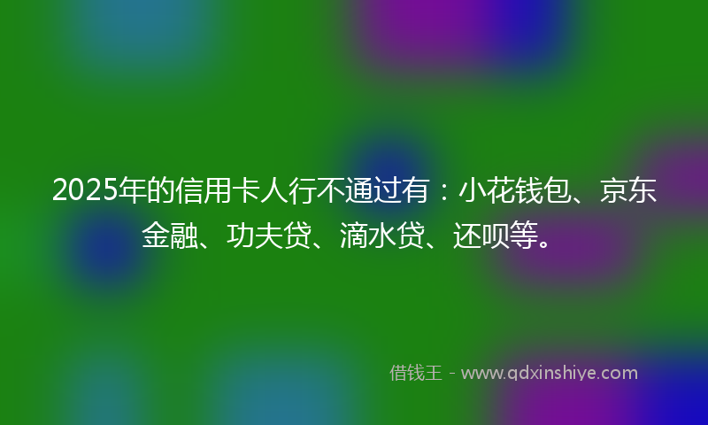 2025年的信用卡人行不通过有：小花钱包、京东金融、功夫贷、滴水贷、还呗等。