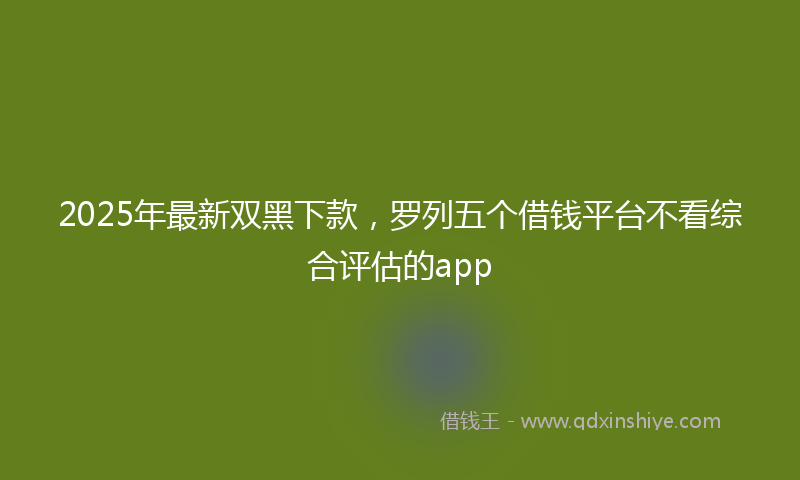 2025年最新双黑下款，罗列五个借钱平台不看综合评估的app