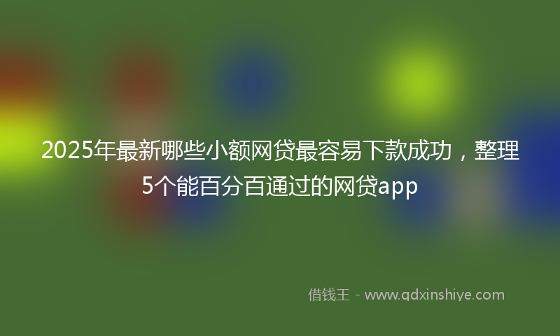 2025年最新哪些小额网贷最容易下款成功，整理5个能百分百通过的网贷app