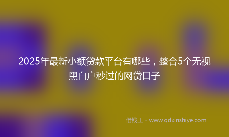 2025年最新小额贷款平台有哪些，整合5个无视黑白户秒过的网贷口子