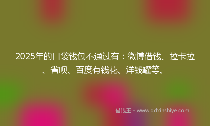 2025年的口袋钱包不通过有：微博借钱、拉卡拉、省呗、百度有钱花、洋钱罐等。