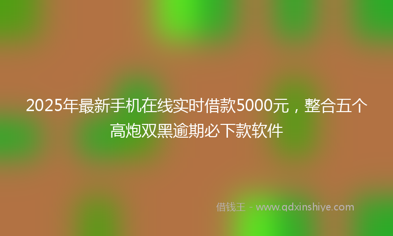 2025年最新手机在线实时借款5000元，整合五个高炮双黑逾期必下款软件