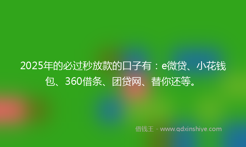 2025年的必过秒放款的口子有：e微贷、小花钱包、360借条、团贷网、替你还等。