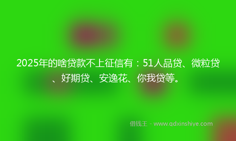 2025年的啥贷款不上征信有：51人品贷、微粒贷、好期贷、安逸花、你我贷等。