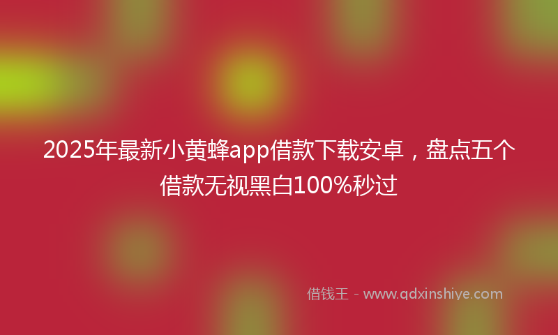 2025年最新小黄蜂app借款下载安卓，盘点五个借款无视黑白100%秒过