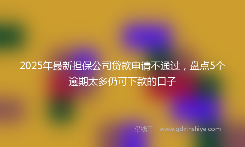 2025年最新担保公司贷款申请不通过，盘点5个逾期太多仍可下款的口子