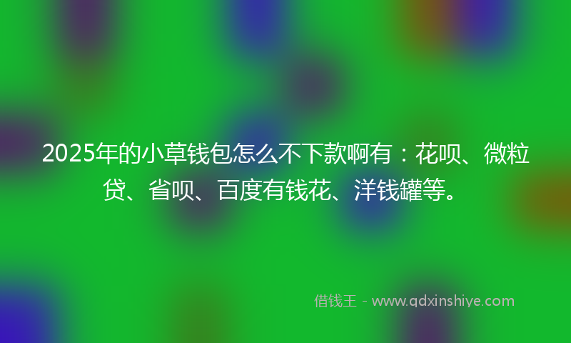 2025年的小草钱包怎么不下款啊有：花呗、微粒贷、省呗、百度有钱花、洋钱罐等。