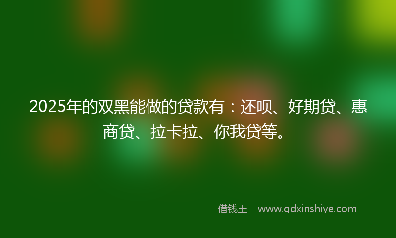 2025年的双黑能做的贷款有：还呗、好期贷、惠商贷、拉卡拉、你我贷等。
