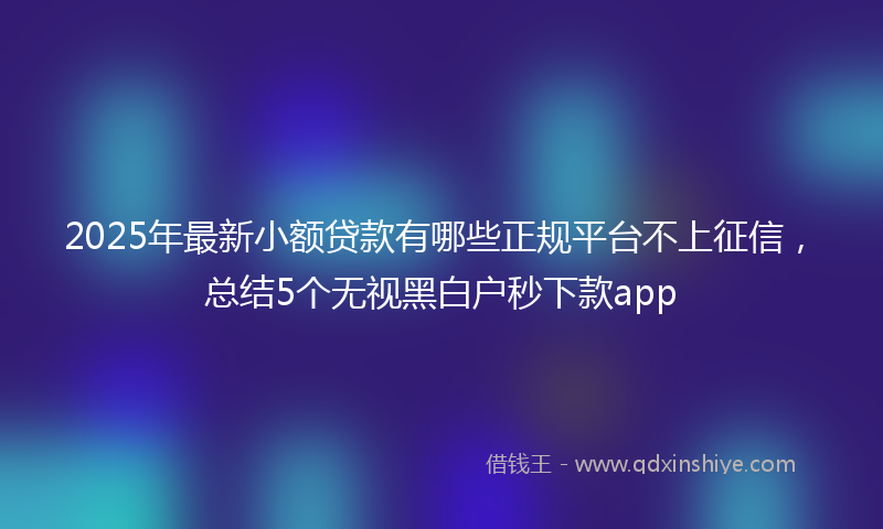 2025年最新小额贷款有哪些正规平台不上征信，总结5个无视黑白户秒下款app
