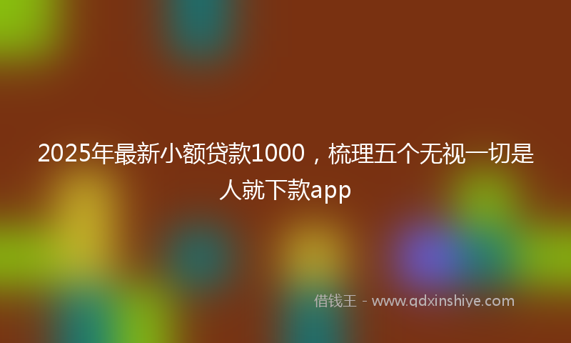 2025年最新小额贷款1000，梳理五个无视一切是人就下款app