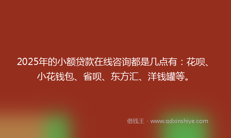 2025年的小额贷款在线咨询都是几点有：花呗、小花钱包、省呗、东方汇、洋钱罐等。