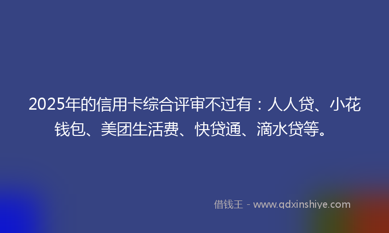 2025年的信用卡综合评审不过有：人人贷、小花钱包、美团生活费、快贷通、滴水贷等。