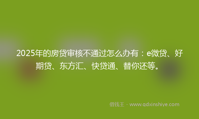 2025年的房贷审核不通过怎么办有：e微贷、好期贷、东方汇、快贷通、替你还等。