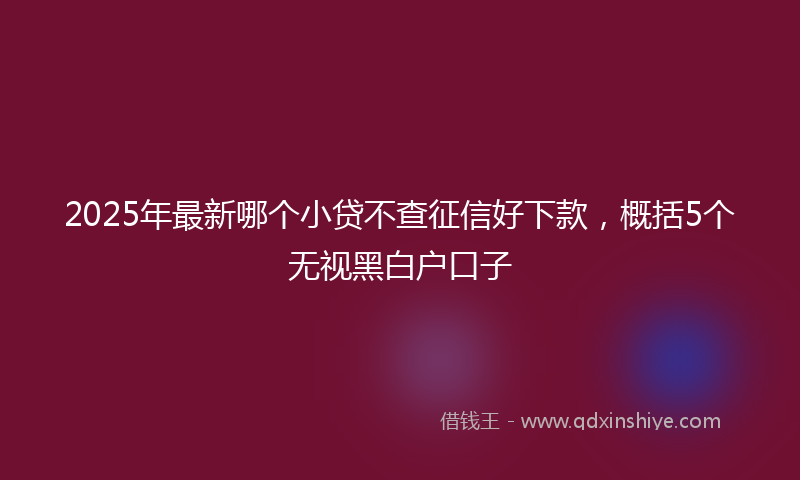 2025年最新哪个小贷不查征信好下款，概括5个无视黑白户口子
