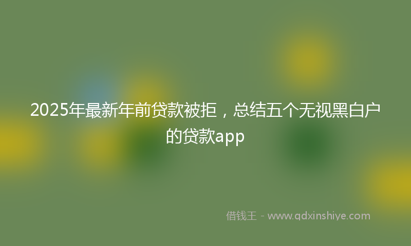 2025年最新年前贷款被拒，总结五个无视黑白户的贷款app