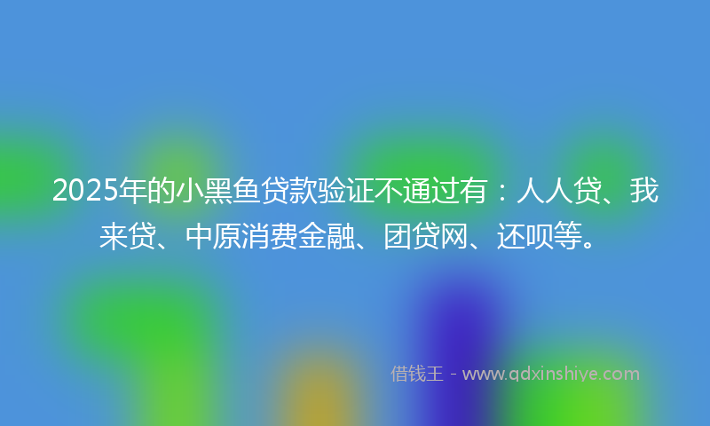 2025年的小黑鱼贷款验证不通过有：人人贷、我来贷、中原消费金融、团贷网、还呗等。