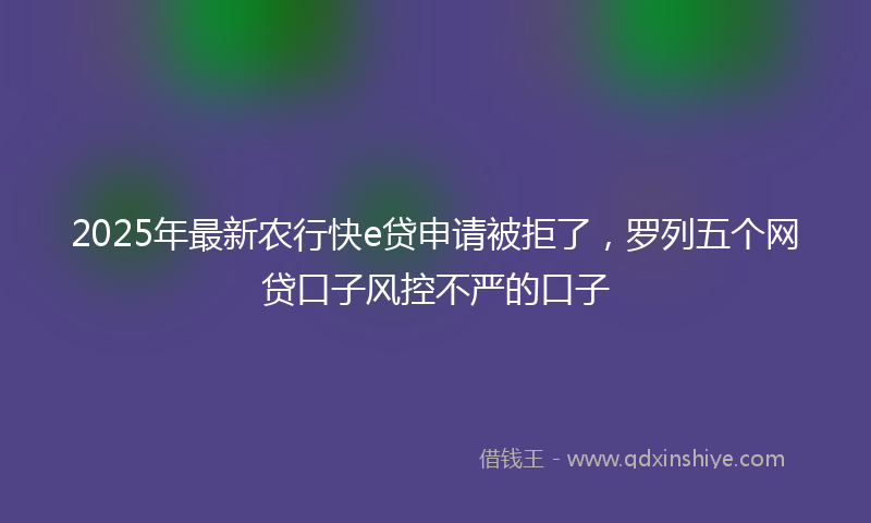 2025年最新农行快e贷申请被拒了，罗列五个网贷口子风控不严的口子