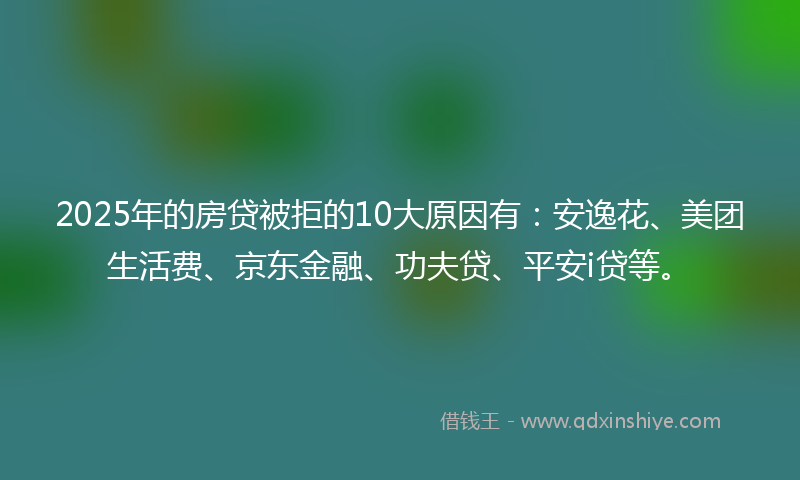 2025年的房贷被拒的10大原因有：安逸花、美团生活费、京东金融、功夫贷、平安i贷等。