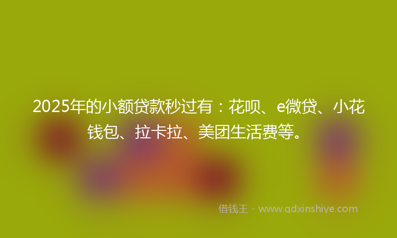 2025年的小额贷款秒过有：花呗、e微贷、小花钱包、拉卡拉、美团生活费等。