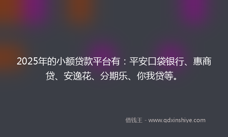 2025年的小额贷款平台有：平安口袋银行、惠商贷、安逸花、分期乐、你我贷等。