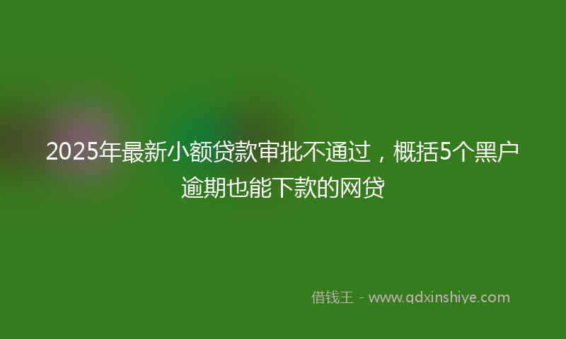 2025年最新小额贷款审批不通过，概括5个黑户逾期也能下款的网贷