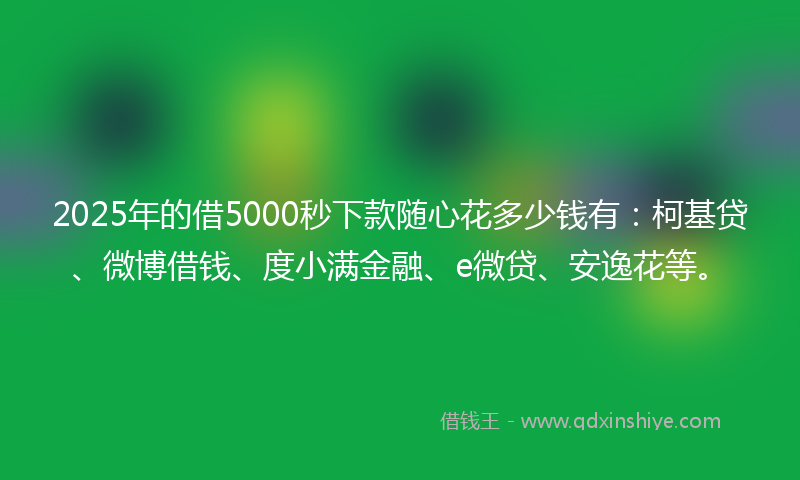 2025年的借5000秒下款随心花多少钱有：柯基贷、微博借钱、度小满金融、e微贷、安逸花等。