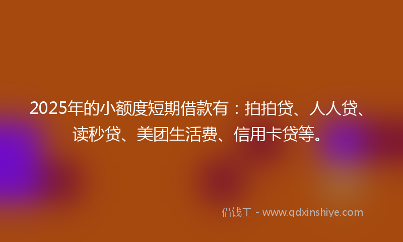 2025年的小额度短期借款有：拍拍贷、人人贷、读秒贷、美团生活费、信用卡贷等。