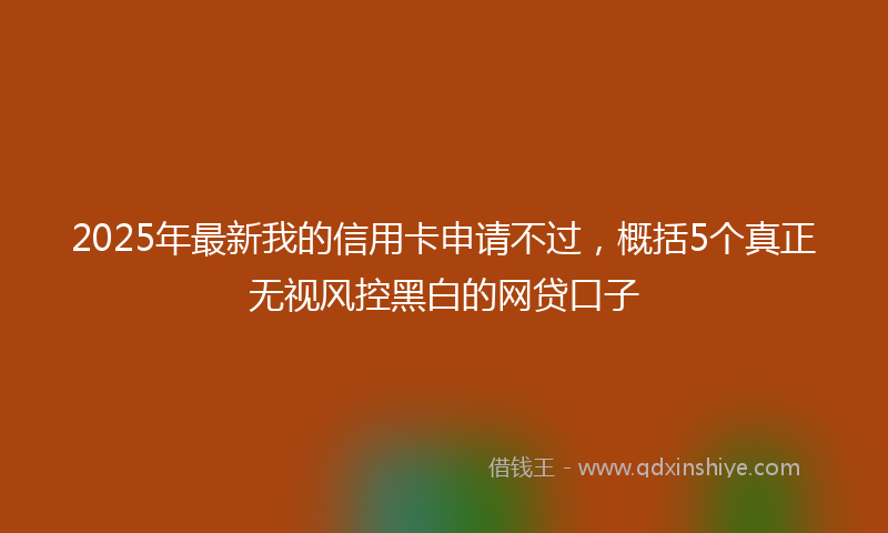 2025年最新我的信用卡申请不过，概括5个真正无视风控黑白的网贷口子