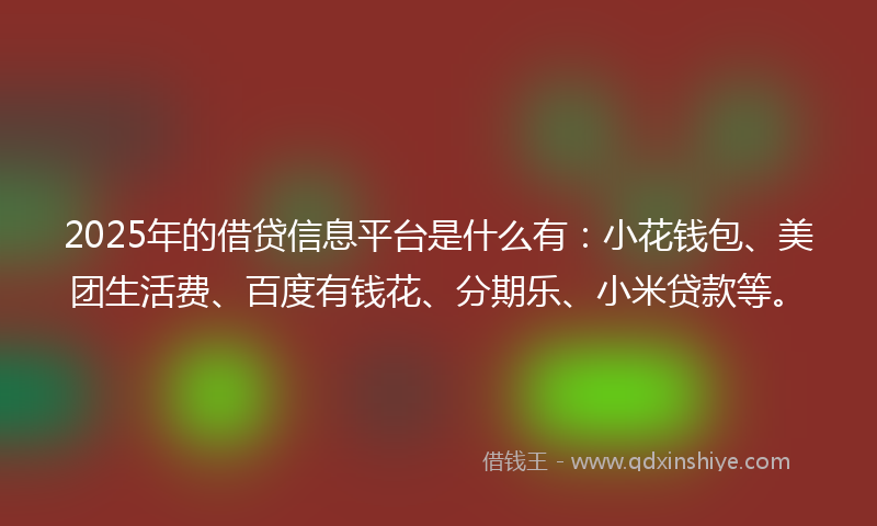 2025年的借贷信息平台是什么有：小花钱包、美团生活费、百度有钱花、分期乐、小米贷款等。