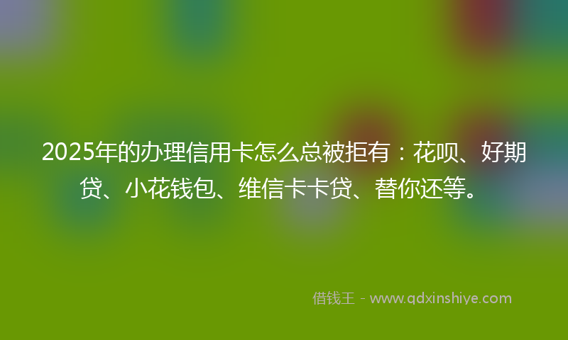 2025年的办理信用卡怎么总被拒有：花呗、好期贷、小花钱包、维信卡卡贷、替你还等。