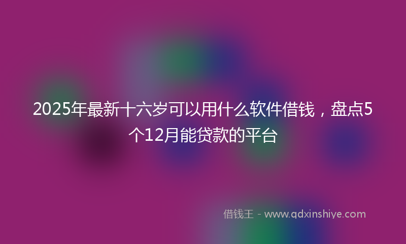 2025年最新十六岁可以用什么软件借钱，盘点5个12月能贷款的平台