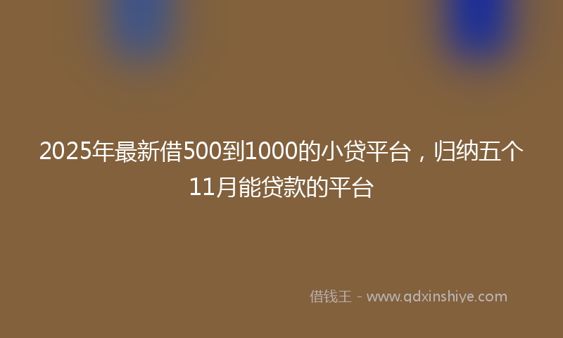 2025年最新借500到1000的小贷平台，归纳五个11月能贷款的平台