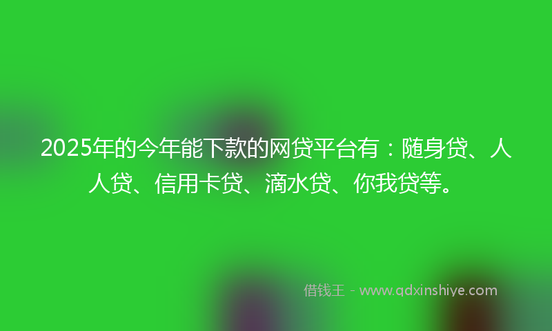 2025年的今年能下款的网贷平台有：随身贷、人人贷、信用卡贷、滴水贷、你我贷等。
