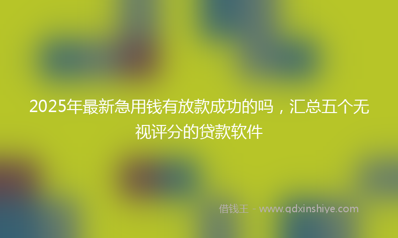 2025年最新急用钱有放款成功的吗，汇总五个无视评分的贷款软件