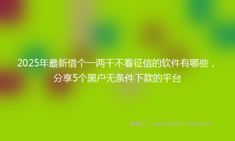 2025年最新借个一两千不看征信的软件有哪些，分享5个黑户无条件下款的平台