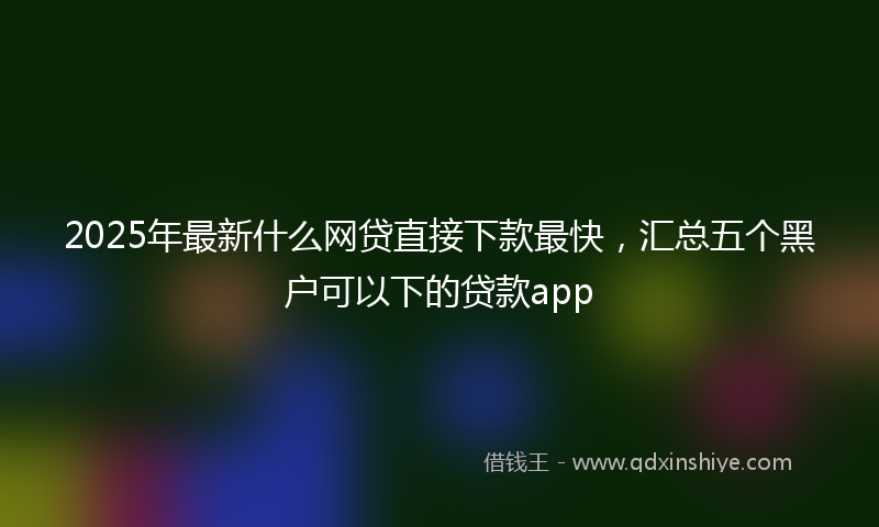 2025年最新什么网贷直接下款最快，汇总五个黑户可以下的贷款app
