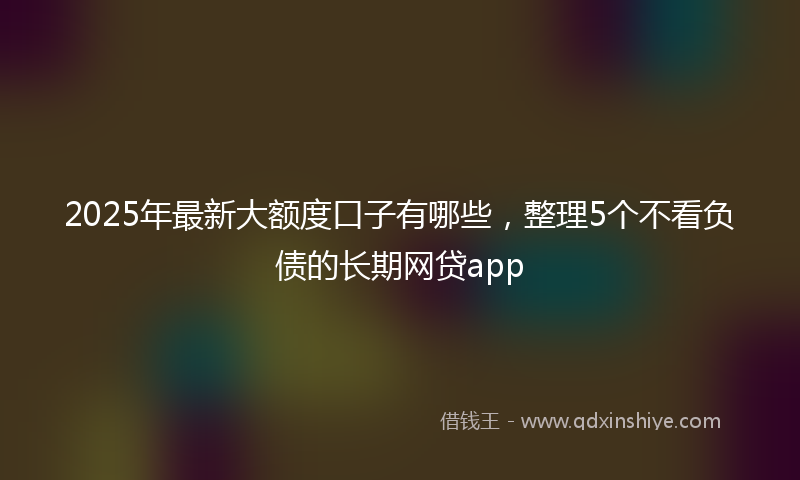 2025年最新大额度口子有哪些，整理5个不看负债的长期网贷app
