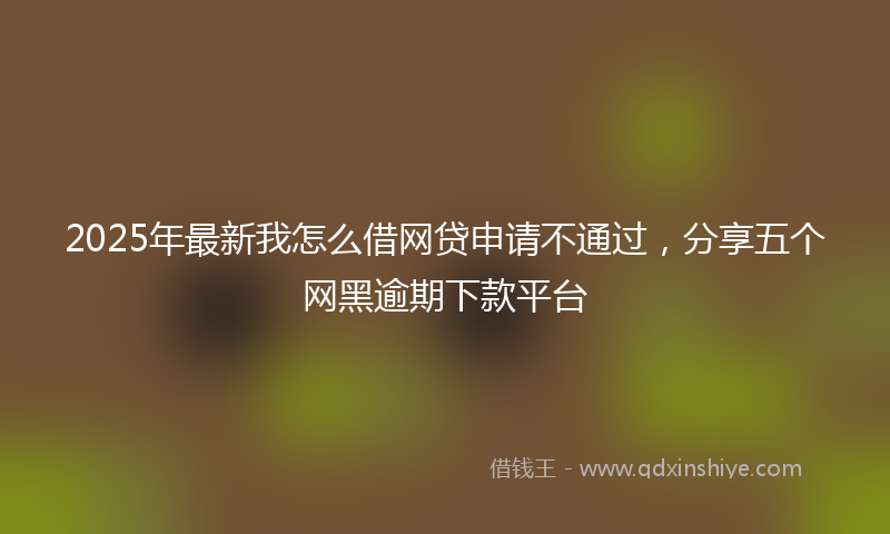 2025年最新我怎么借网贷申请不通过，分享五个网黑逾期下款平台